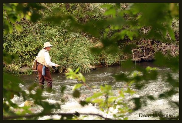 Saturday Morning Fishing