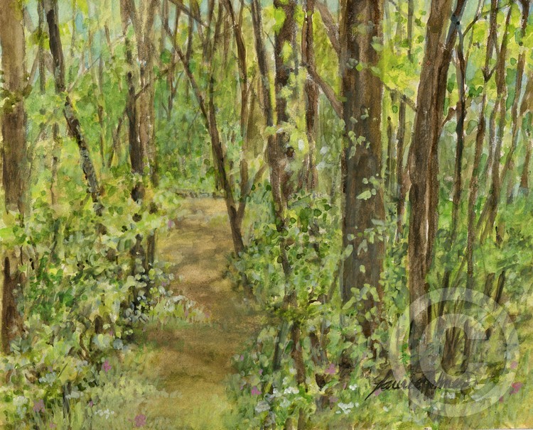 Wooded Path
