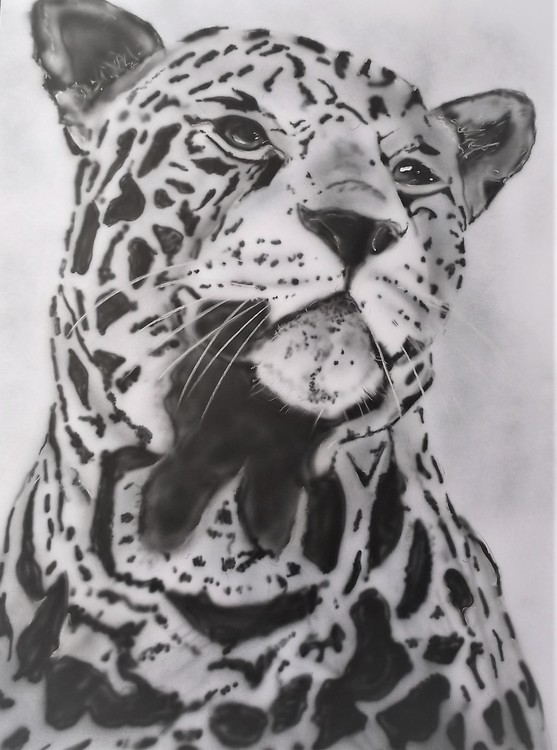 LEOPARD on A1 card (4)