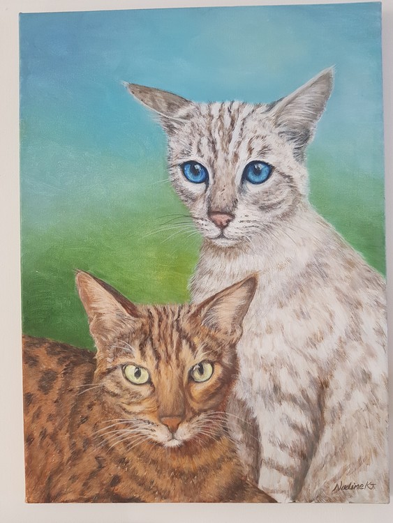 Savannah cats