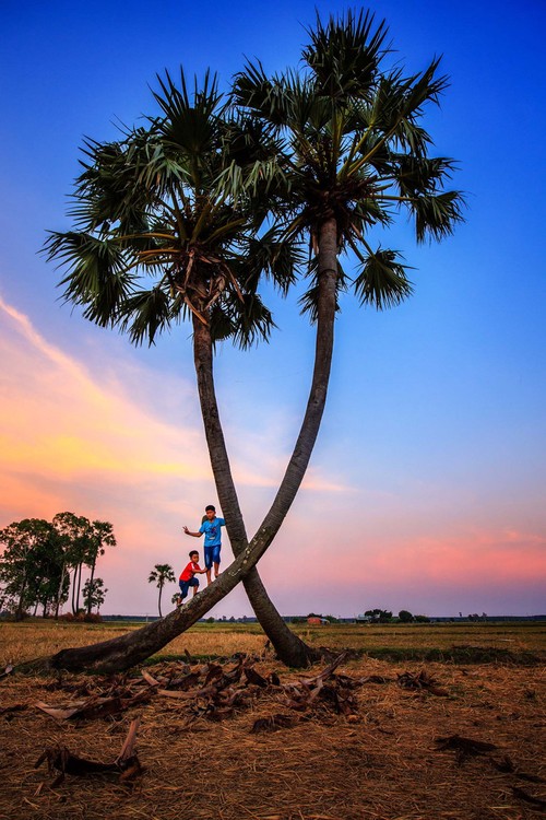Tay Ninh  Hoang hon cay Thot Not 1