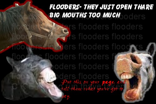 flooders!!!!!!!!!!!!!