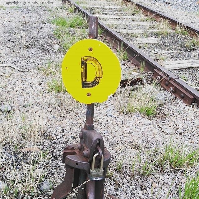 D track