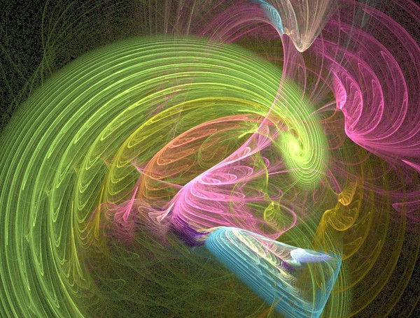 The Forms Of  The Butterfly.....