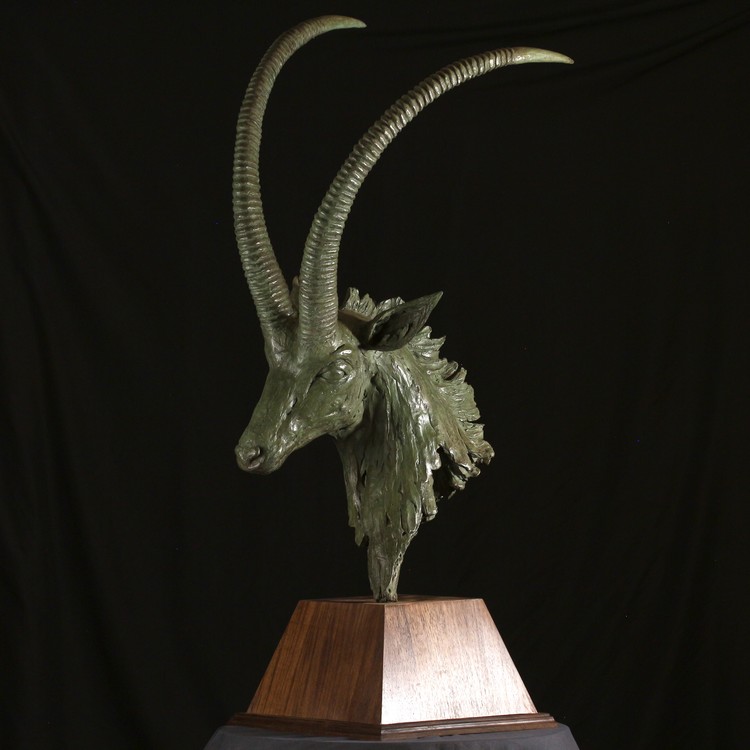 SABLE ANTELOPE BUST