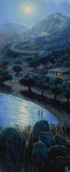 moonlit swimmers