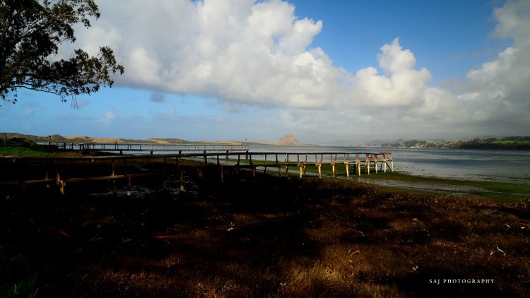 Morro Bay Estuary 