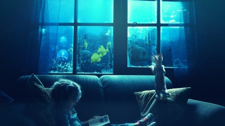 outdoor aquarium