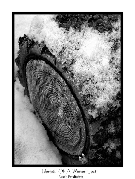 Identity Of A Winter Lost