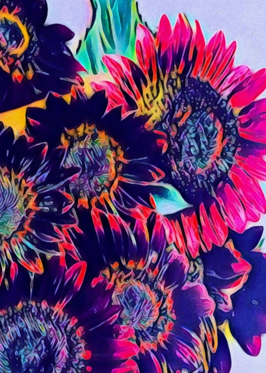 Vibrancy