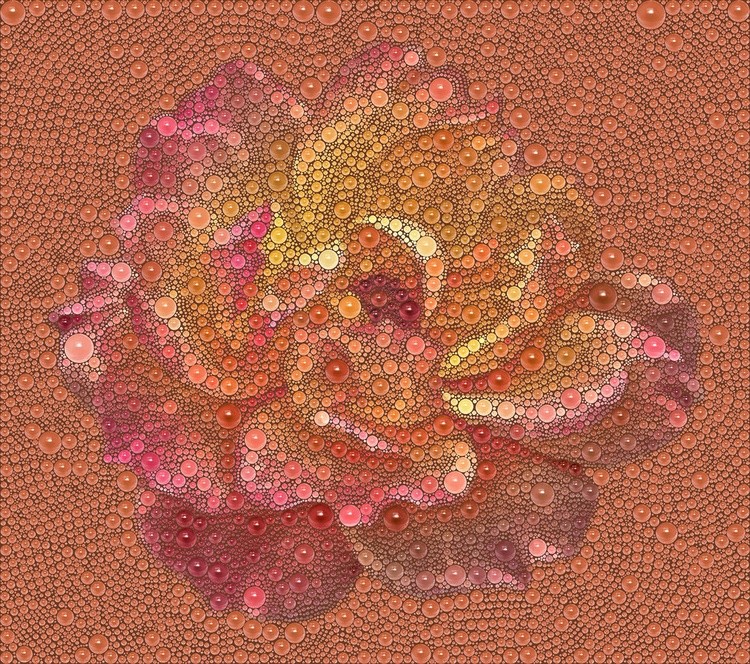 Marblelous Peachy Rose