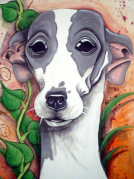 Italian Greyhound