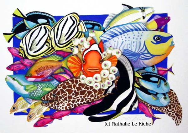 My Favourite Reef