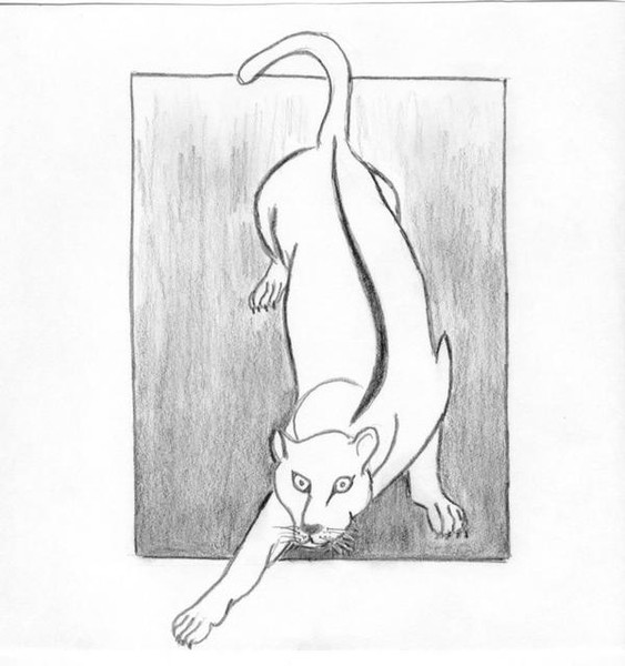 Cat in a box or is it?