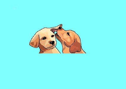 puppy love