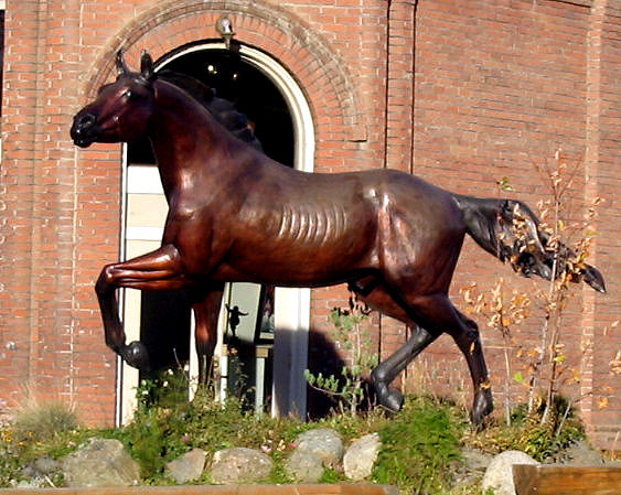 Bronze Stallion