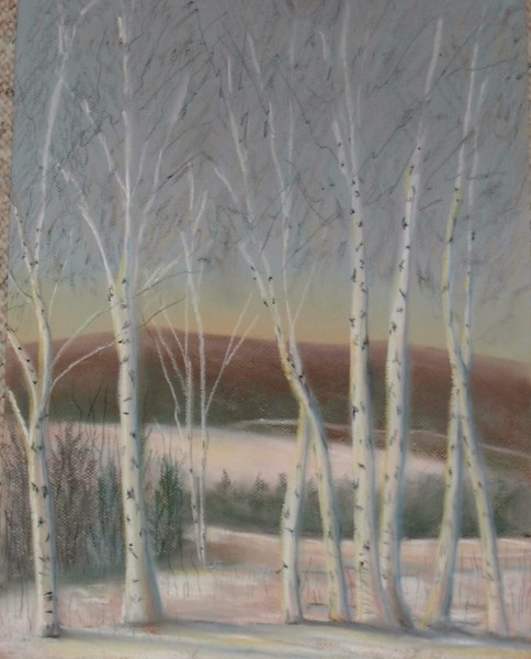 White Birch in Snow - SOLD