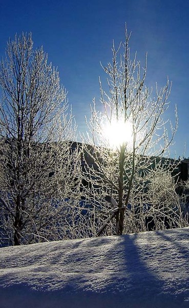 Wintersun