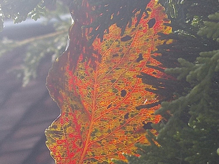 IMG 20220912 142311