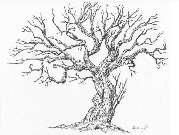 rachel tree