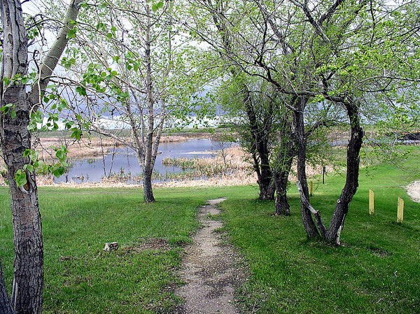 Path
