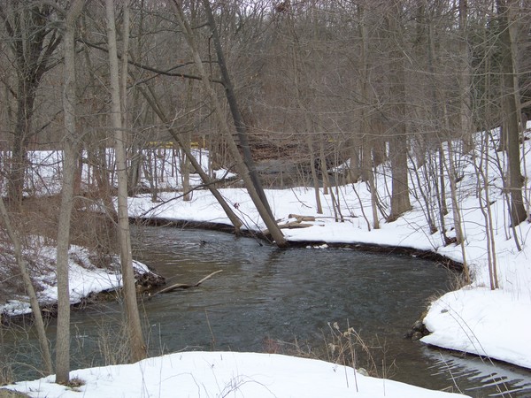 Paint the creek white