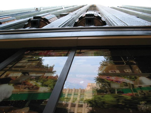view from the ground