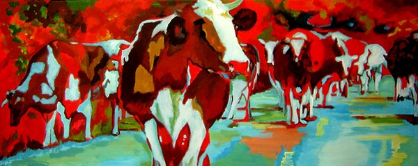 D227 cows 30