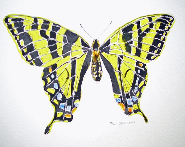 Watercolour Butterfly