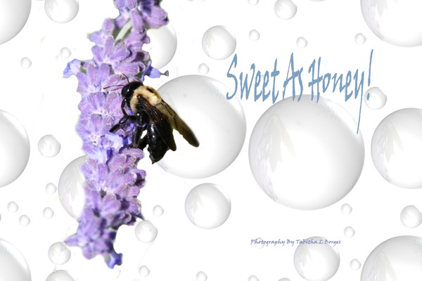 Sweet As Honey !