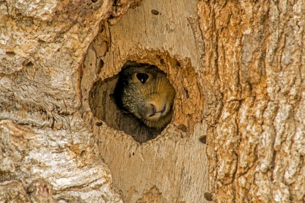 Looking to see if you were looking at me