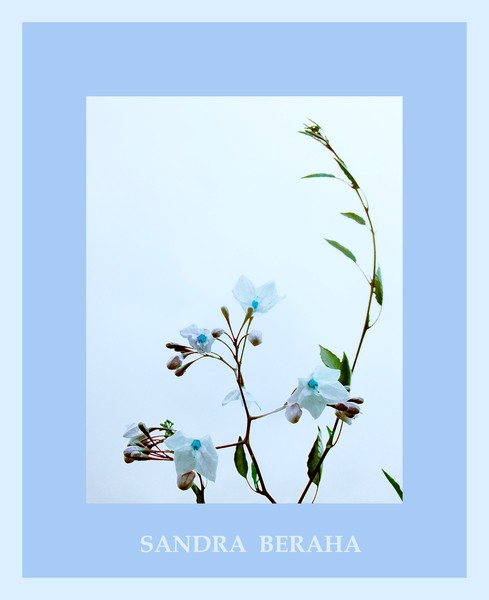 FLOWERS IN THE RAIN