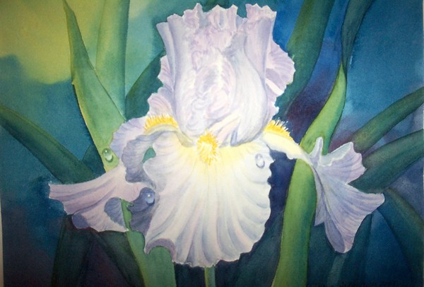 White Iris