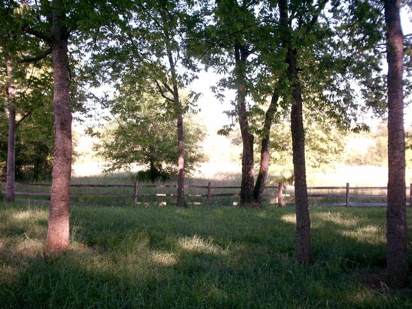 Peaceful Glen