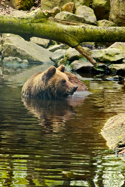 Cooling off a bit