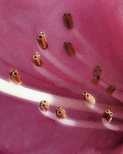 What is it?
