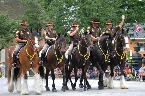 New Castle County Mounted Patrol