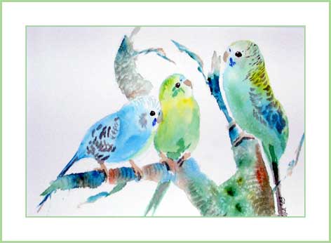Pudgie Budgies