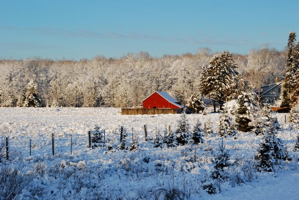 Winter