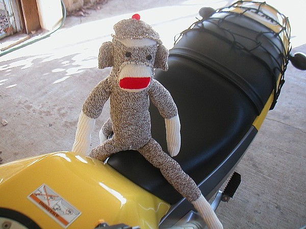 Sock Monkey Jumps on Motorcycle