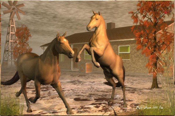 Horses