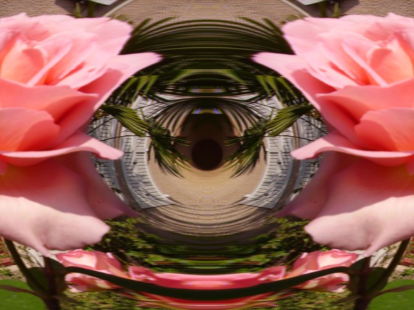 The eye of the storm