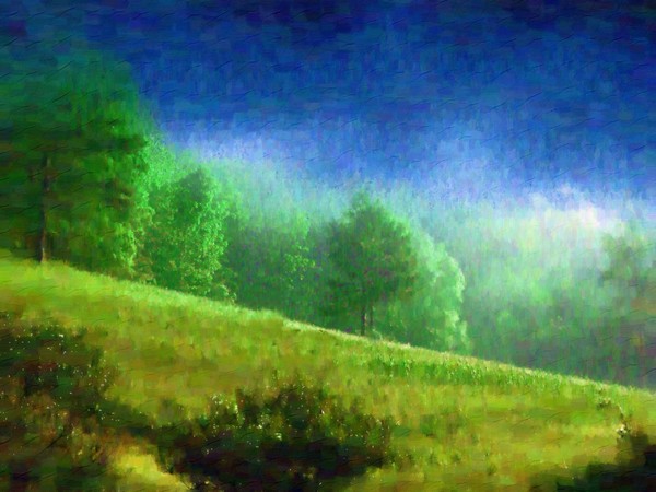 Early Sunlight