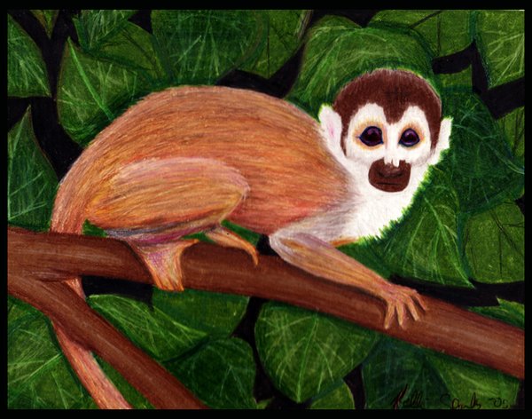 Monkey