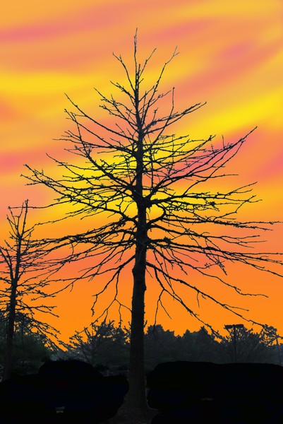 A Winter Sunset