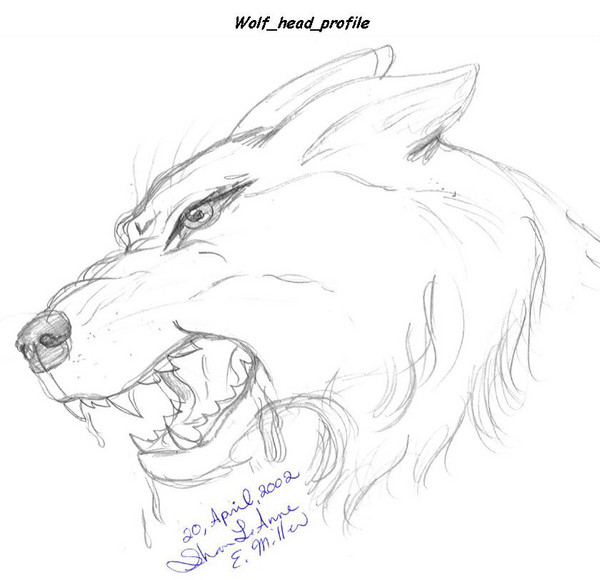 Wolf profile