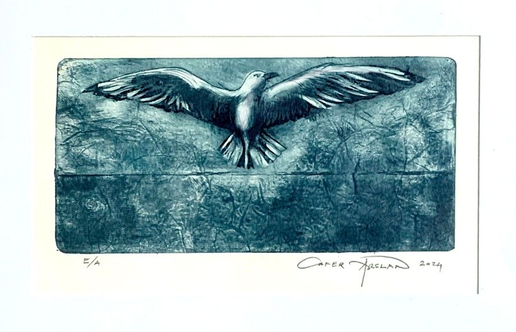 Seagull in the wind