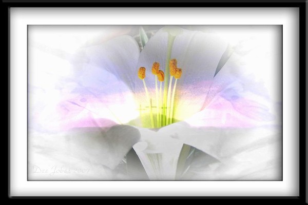 Resurrected Love