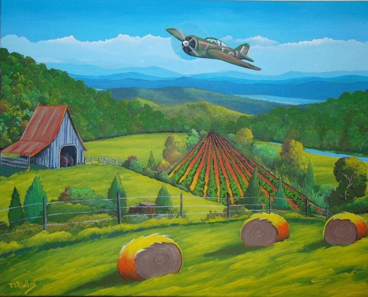 buzzing the farm