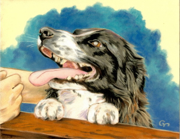 Man's Best Friend